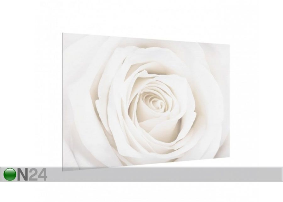 Фотостекло для кухонного фартука Pretty White Rose 1, 40x60 cm увеличить
