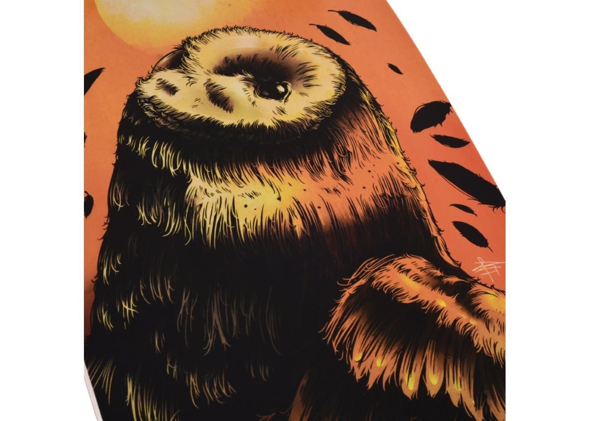 Longboard Street Surfing Freeride Owl 36” увеличить