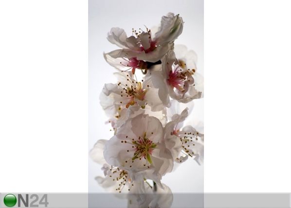 Затемняющая фотоштора Flowers 140x245 см