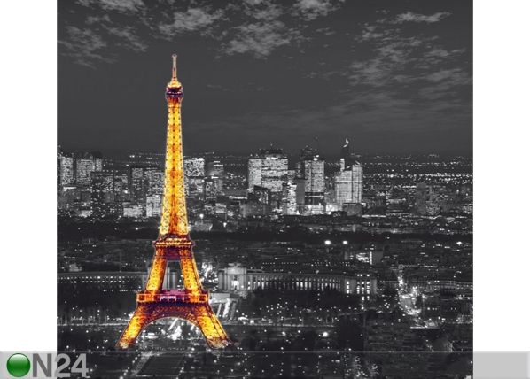 Затемняющее фотошторы Paris by night 280x245 см