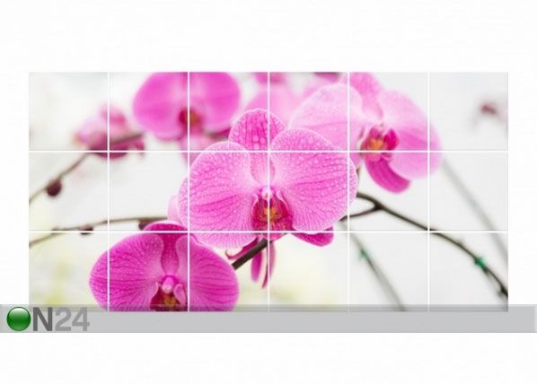 Наклейки на плитку Close-up of orchid 60x120 cm