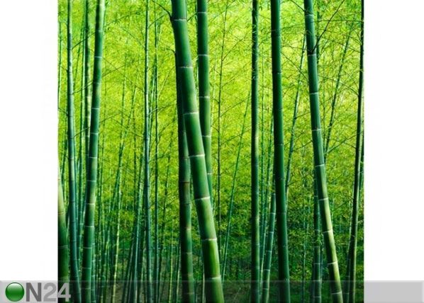 Флизелиновые фотообои Bamboo Forest