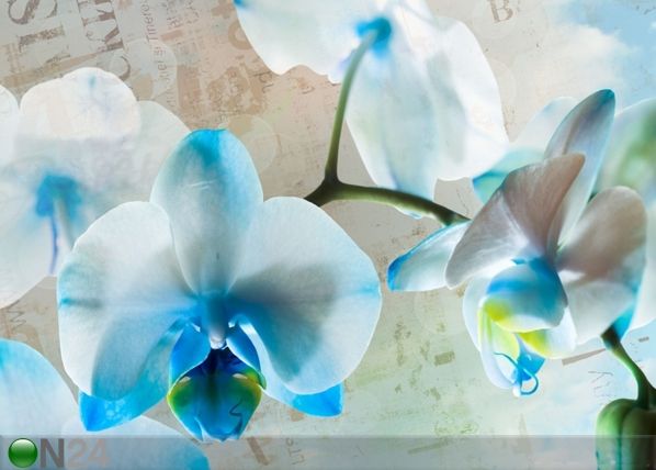 Флизелиновые фотообои Blue flowers 360x270 см