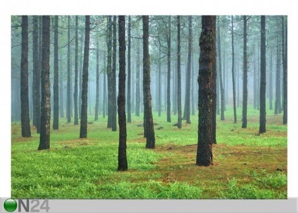 Флизелиновые фотообои Deep forest with pines on La Palma