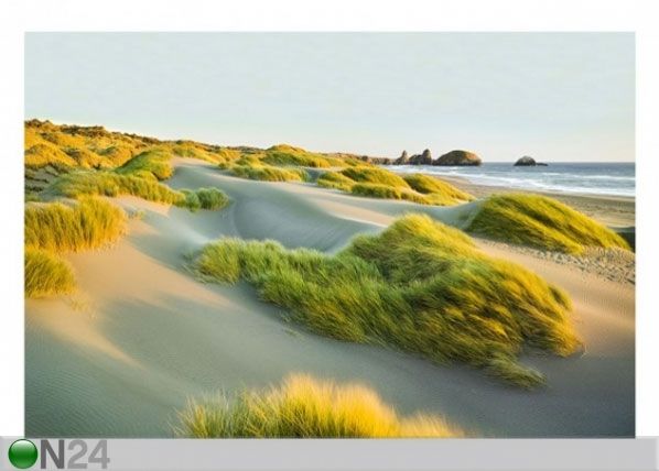 Флизелиновые фотообои Dunes and grasses at the sea