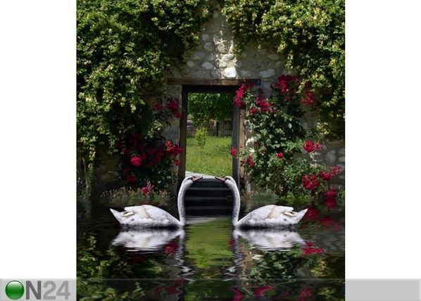 Флизелиновые фотообои Swans 180x202 cm