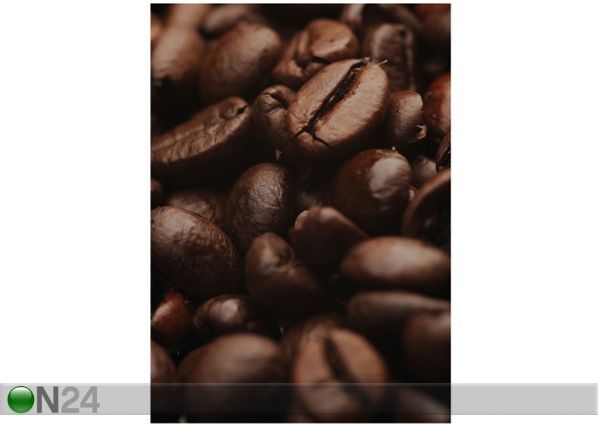 Фотообои Coffee Arabica 200x280 cm