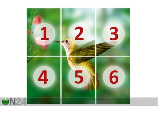 Фотообои Yellow hummingbird 300x280 cm