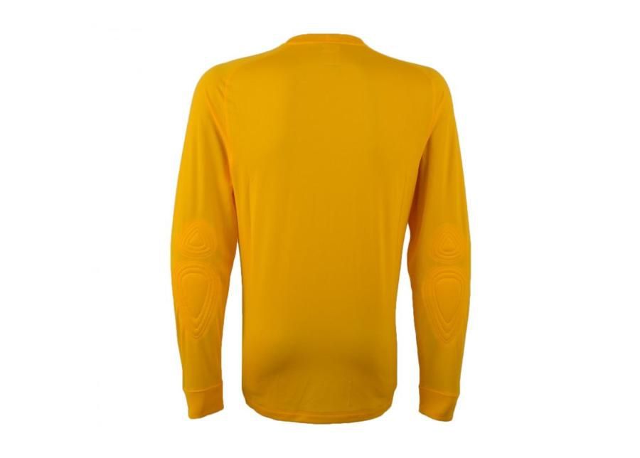 Вратарская рубашка Park Goalie II Jersey 588418-739 Nike увеличить