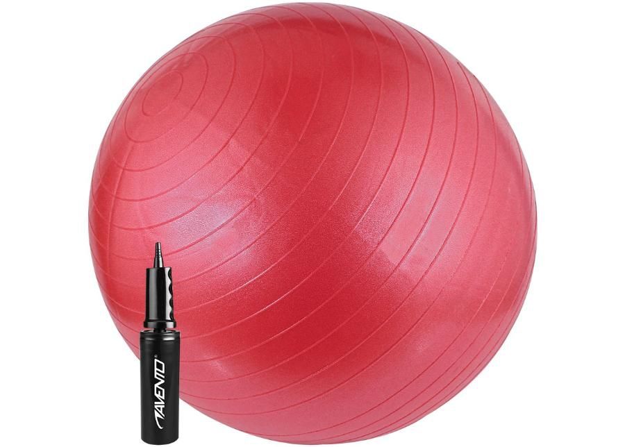 Гимнастический мяч с насосом PVC 65 cm Avento увеличить
