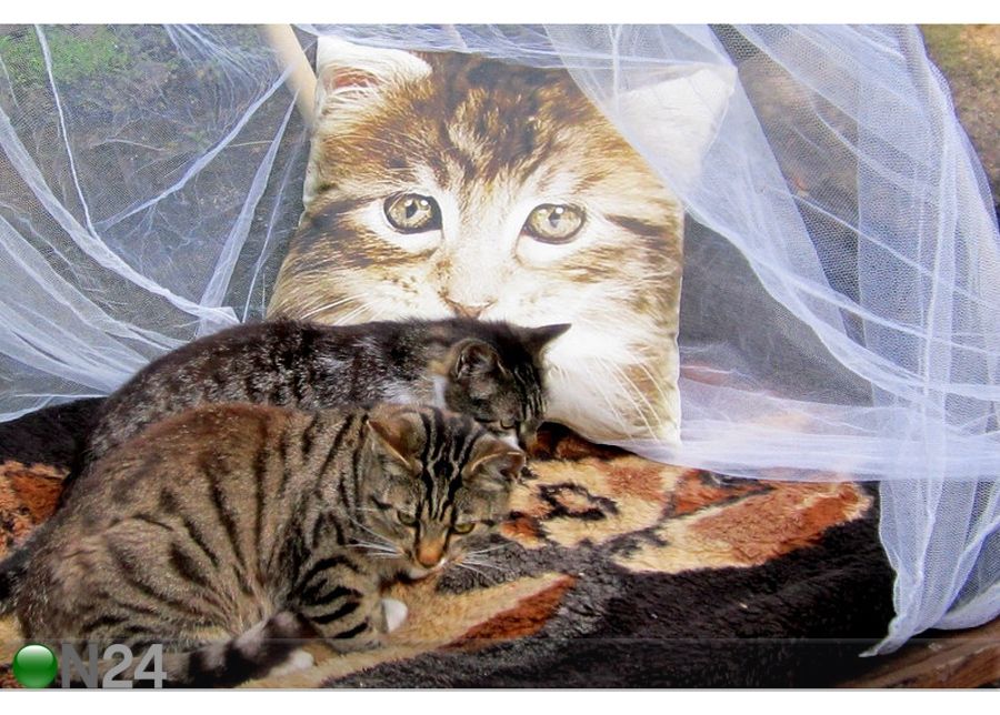 Декоративная подушка Кошка 45x45 cm увеличить