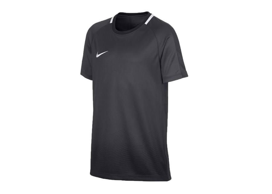 Детская футболка Nike Dry Academy Top GX Junior AJ4225-060 увеличить