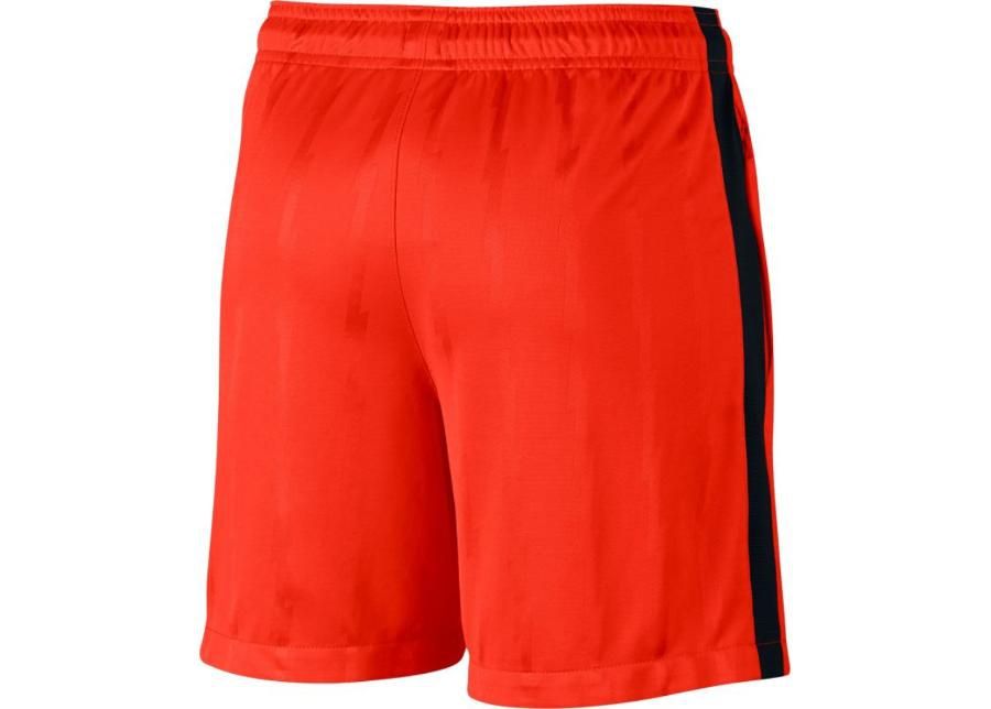 Детские футбольные шорты Nike Dry Squad Jacquard Junior 870121-852 увеличить