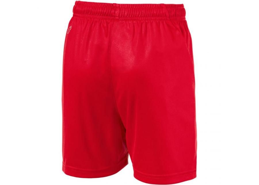 Детские шорты Puma Liga Shorts Core JR 703437 01 увеличить