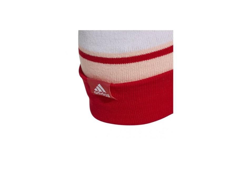 Зимняя шапка Adidas DM1409 увеличить