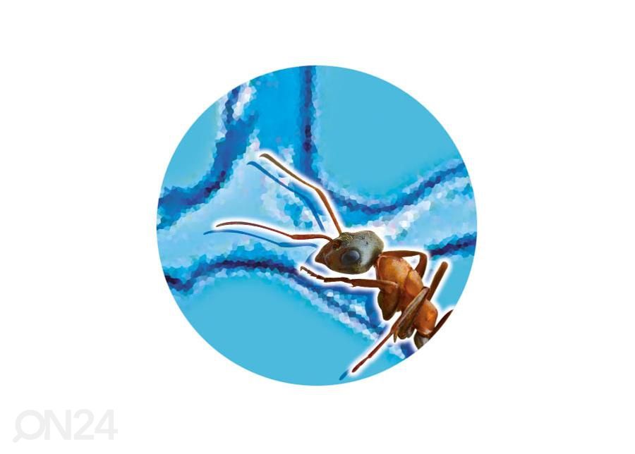 Исследователь муравьев Buki увеличить