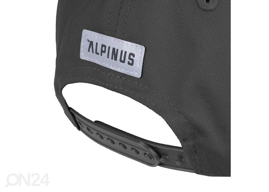 Кепка Alpinus увеличить