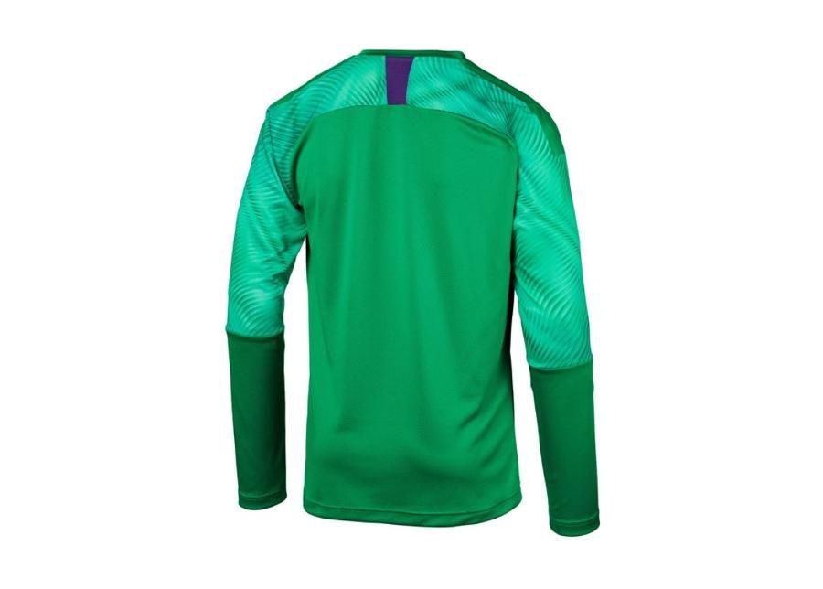 Мужская вратарская рубашка Puma CUP GK Jersey LS M 703771-43 увеличить