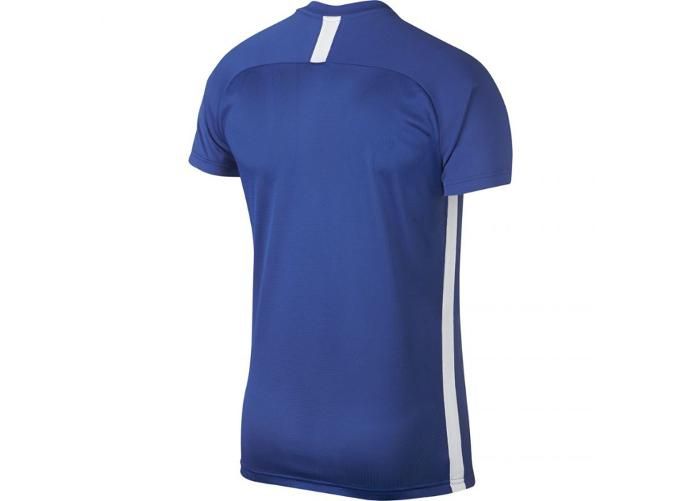 Мужская тренировочная футболка Nike M Dry Academy SS M AJ9996-480 увеличить