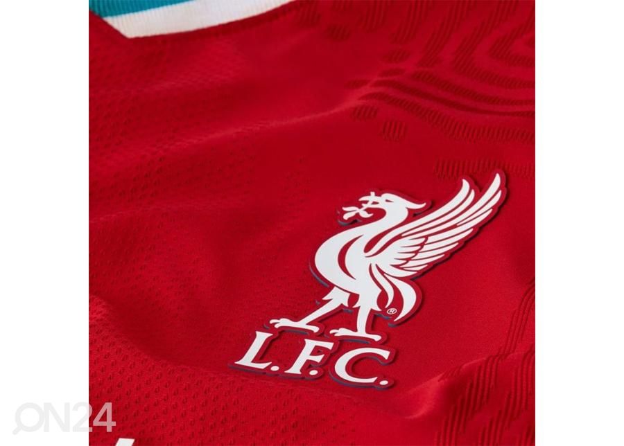 Мужская футболка Nike Liverpool FC Vapor Home увеличить