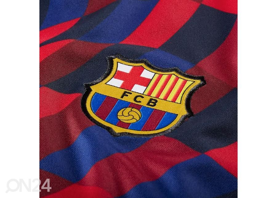 Мужская футбольная футболка Nike FC Barcelona Pre-Match 20/21 M CD5812-658 увеличить