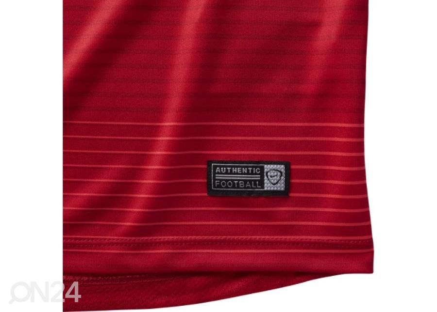 Мужская футбольная футболка Nike Flash Graphic 1 M 725910-657 увеличить