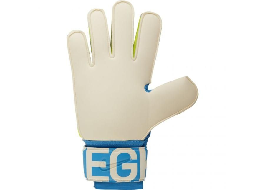 Мужские вратарские перчатки Nike NK SPYNE Pro FA19 M GS3892-486 увеличить