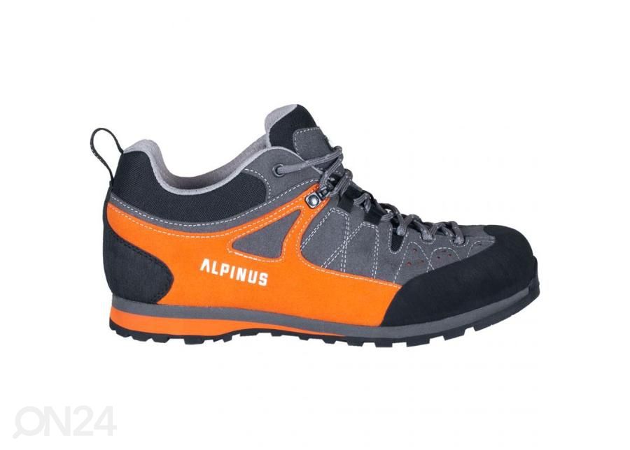 Мужские походные ботинки Alpinus The Ridge Low Pro увеличить