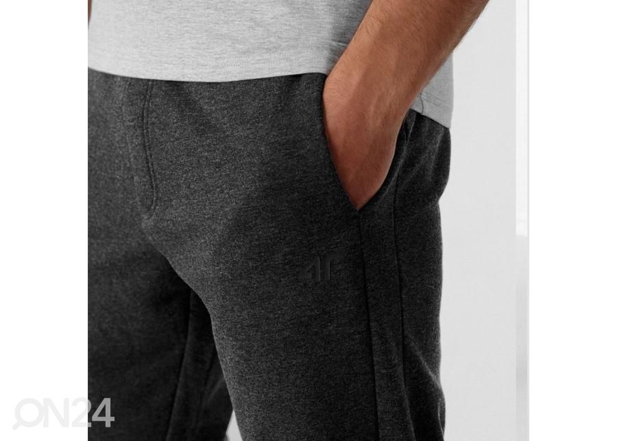 Мужские спортивные штаны 4F увеличить