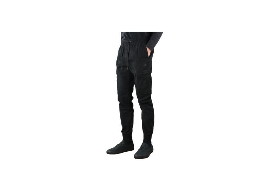 Мужские спортивные штаны 4F M H4L20-SPMC010 21S увеличить