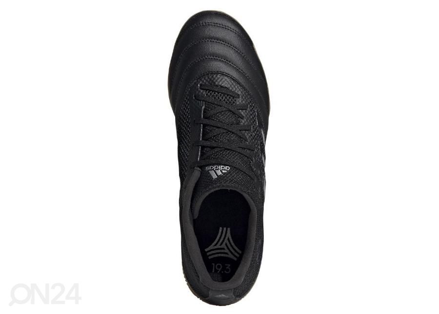 Мужские футбольные бутсы для игры в зале adidas Copa 19.3 IN M F35501 увеличить