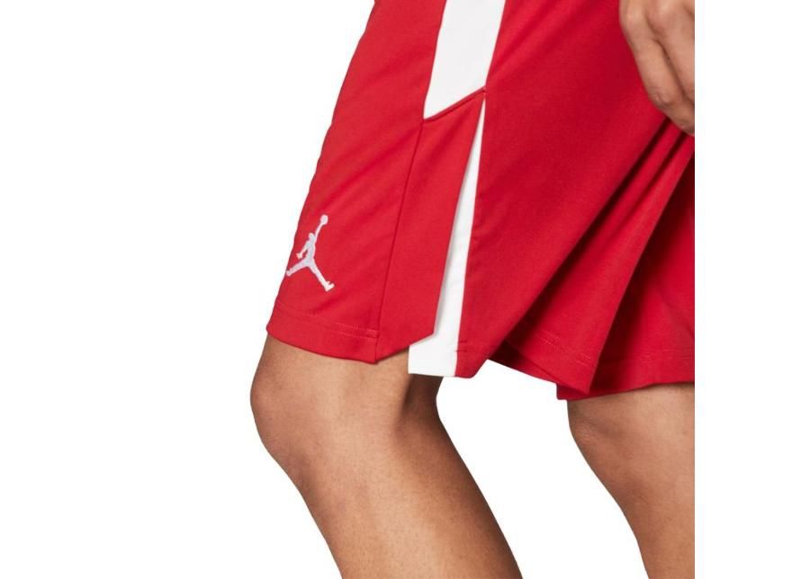 Мужские шорты Nike Jordan 23 Alpha Training Short M 905782-688 увеличить