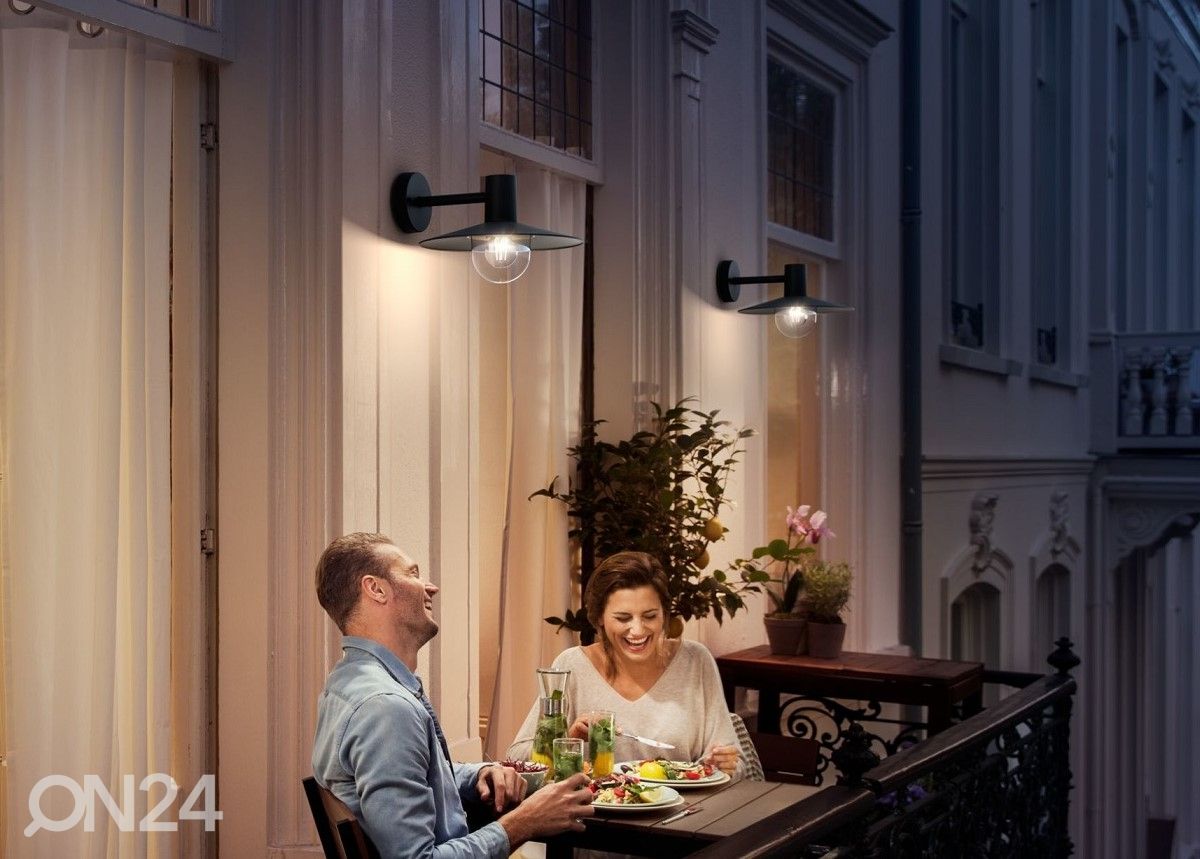 Настенный светильник Philips myGarden Skua E27 увеличить