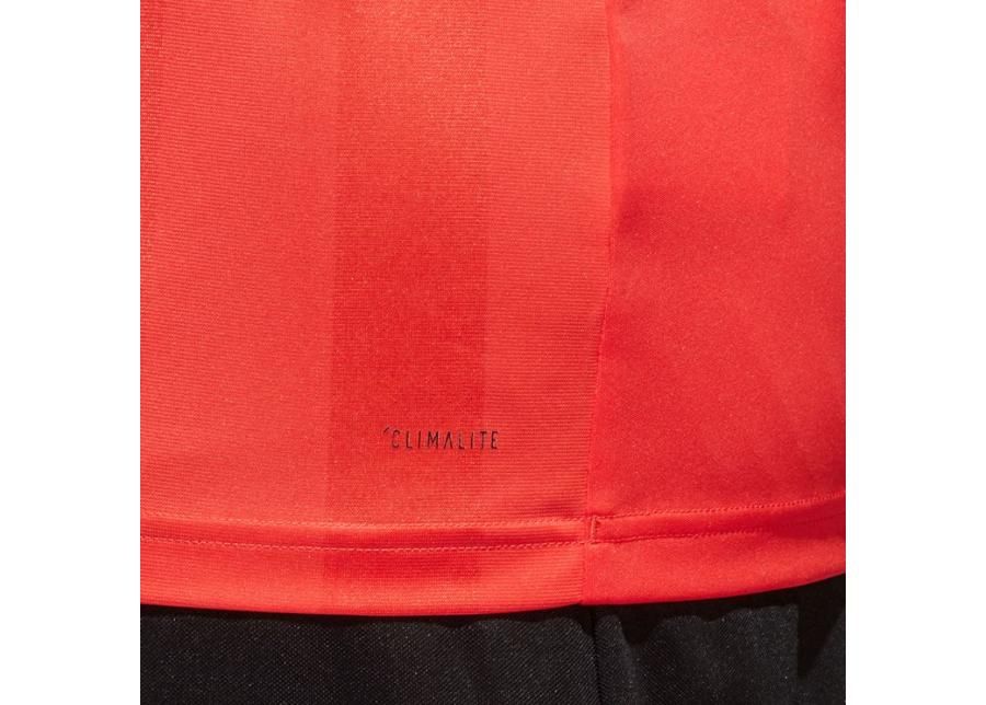 Спортивная футболка для судьи adidas Referee 18 Jersey T-shirt M CF6310 увеличить