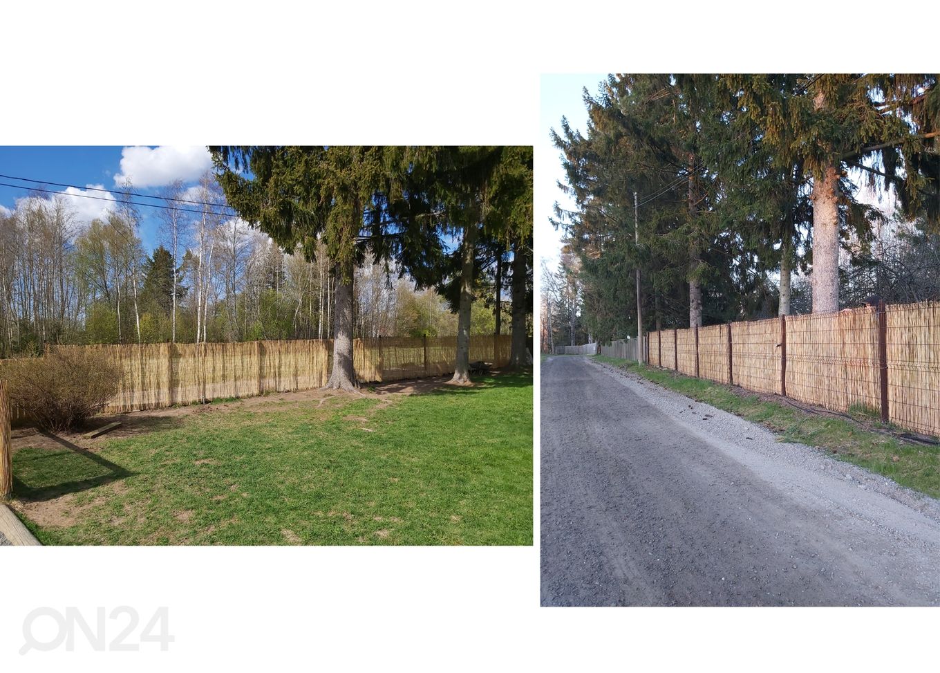 Тростниковый забор 1,5x6 m увеличить