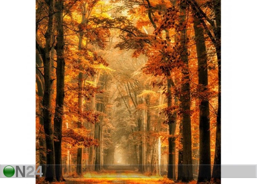 Флизелиновые фотообои Fairy Forest in Autumn увеличить