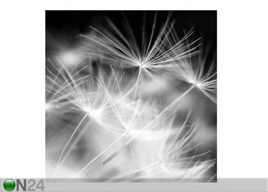 Флизелиновые фотообои Moving Dandelions close up on black background увеличить
