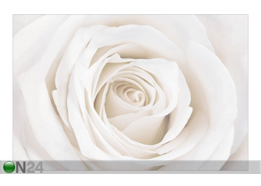 Флизелиновые фотообои Pretty White Rose увеличить