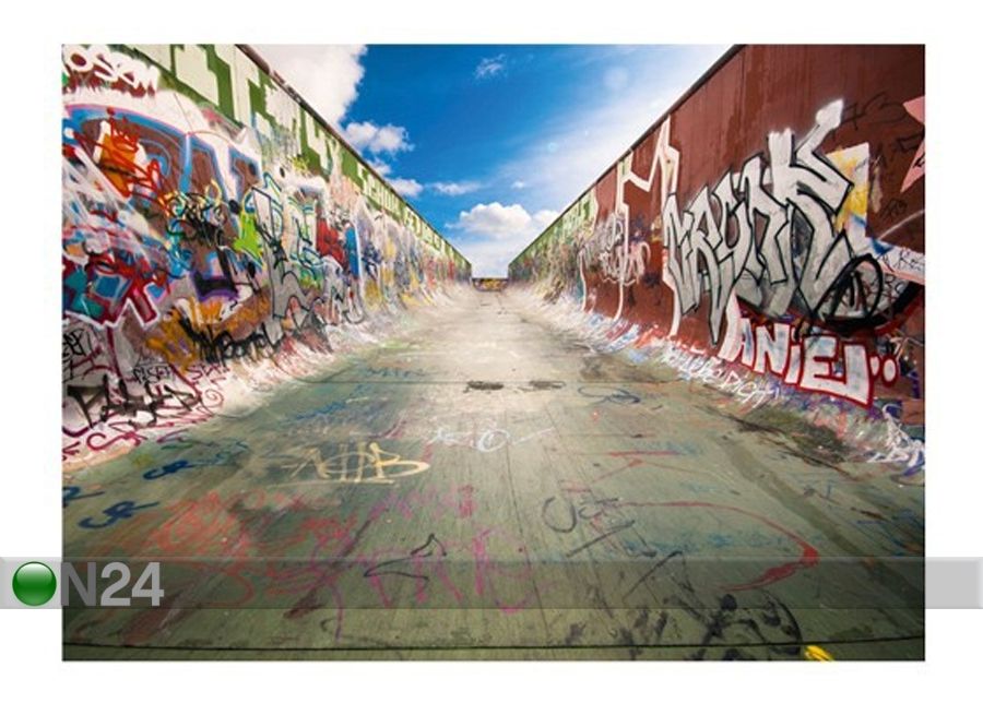 Фотообои Graffiti half pipe 280x200 cм увеличить
