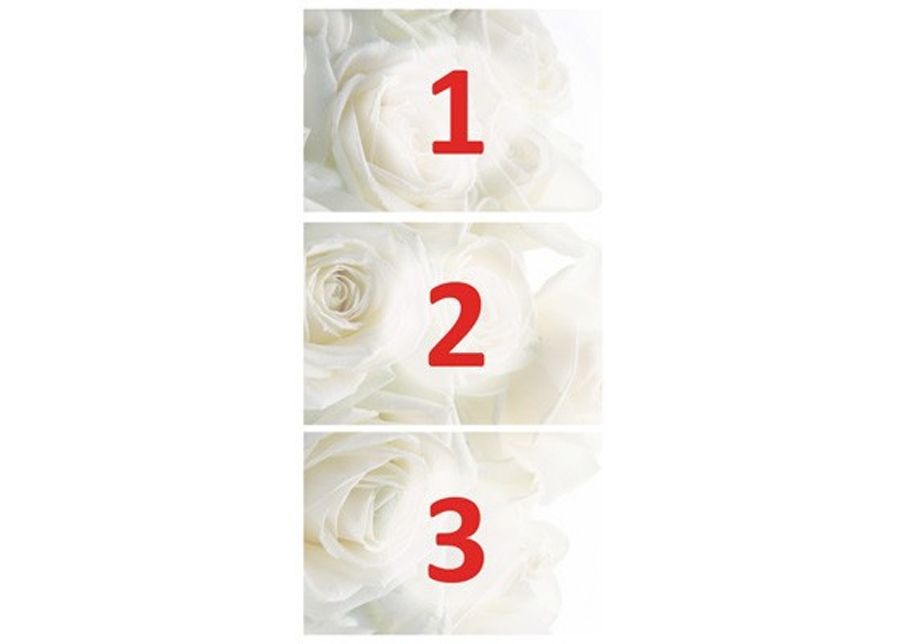 Фотообои Wedding Roses 100x210cm увеличить