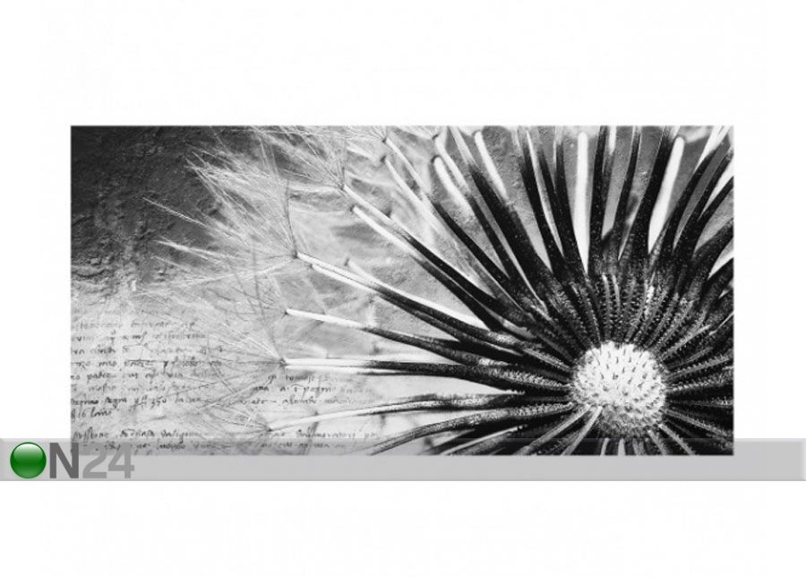 Фотостекло для кухонного фартука Dandelion Black & White 1, 40x100 cm увеличить