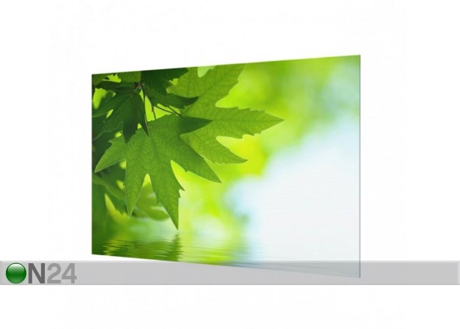 Фотостекло для кухонного фартука Green Ambiance III, 40x60 cm увеличить