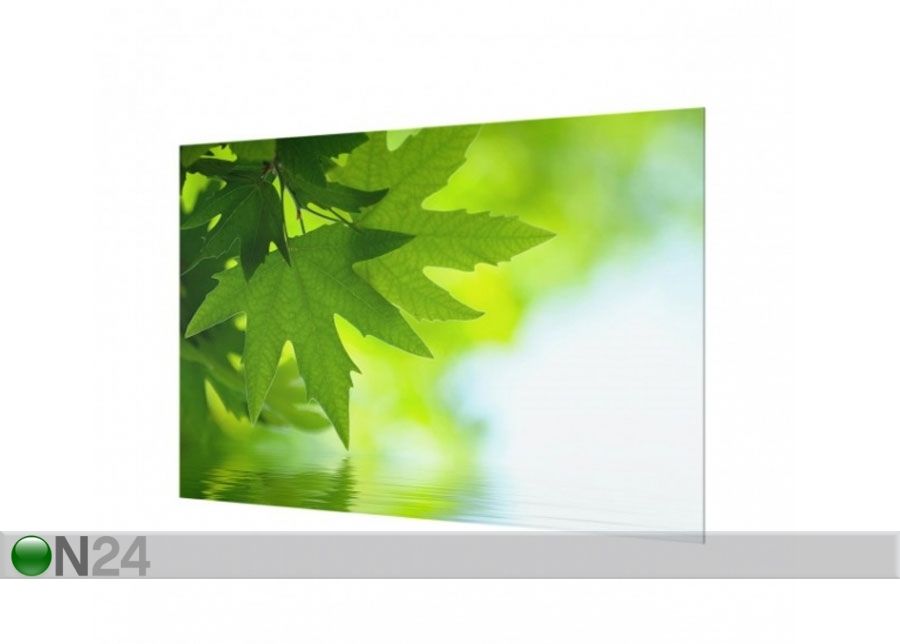 Фотостекло для кухонного фартука Green Ambiance III, 59x90 cm увеличить