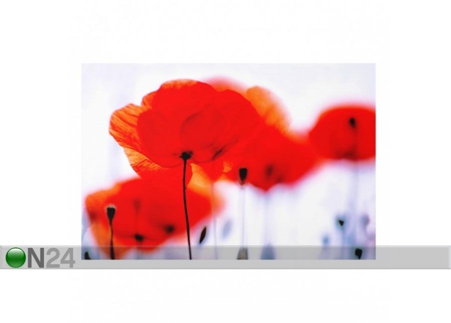 Фотостекло для кухонного фартука Magic Poppies 1, 40x60 cm увеличить