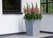 Цветочный горшок Keter Beton Conic