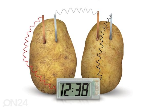 Зеленая наука Картофельные часы