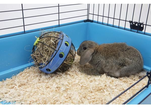 Игрушка для кролика bunny toy 16 см