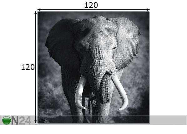 Картина Elephant 120x120 cm размеры