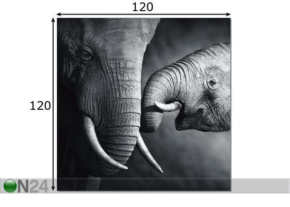 Картина Elephants 120x120 cm размеры