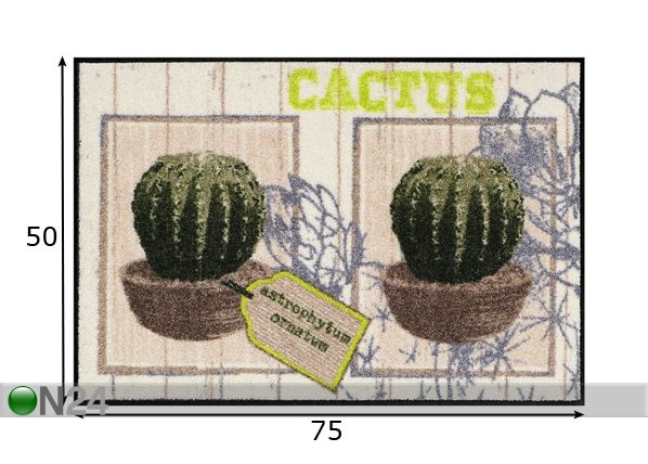 Ковер Cactus 50x75 cm размеры